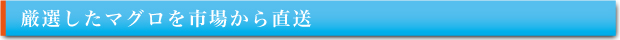 厳選したマグロを市場から直送