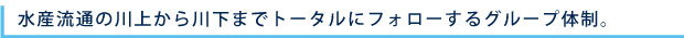 水産流通の川上から川下までトータルにフォローするグループ体制。