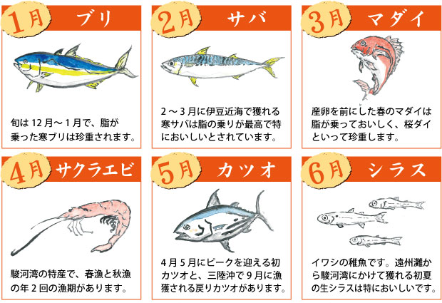 旬の食材 早見表 東伸水産株式会社 市場で培った仲卸としてのプロの目利きで厳選した海産物をご家庭にお届けします