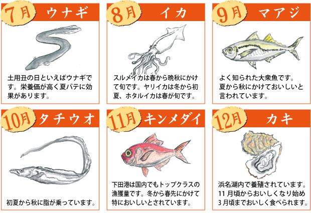 旬の食材 早見表 東伸水産株式会社 市場で培った仲卸としてのプロの目利きで厳選した海産物をご家庭にお届けします