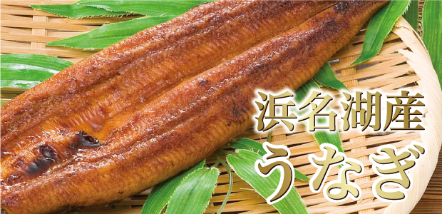 浜名湖産うなぎ